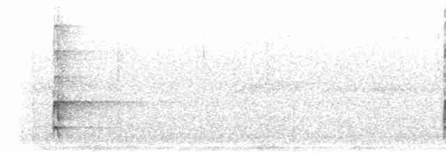 נקר לבן-גב (אירואסייתי) - ML281555
