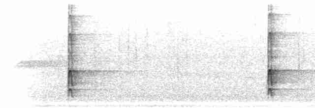 נקר לבן-גב (אירואסייתי) - ML281556