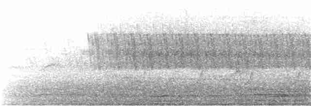 キヅタアメリカムシクイ（coronata） - ML28158931