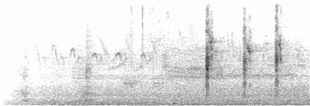 vlhovec červenokřídlý [skupina phoeniceus] - ML28158951