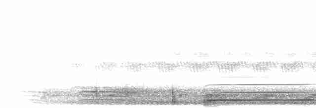 holub tchajwanský - ML281641
