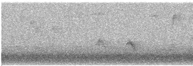 Evening Grosbeak (type 3) - ML281652231