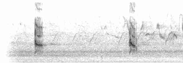 Black-naped Tern - ML281655