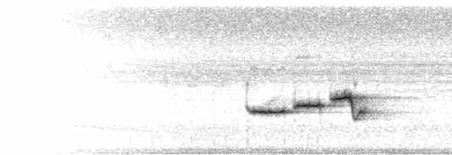 Ryuku Nergis Sinekkapanı - ML281668