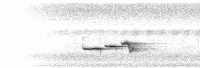 Мухоловка рюкюська - ML281669