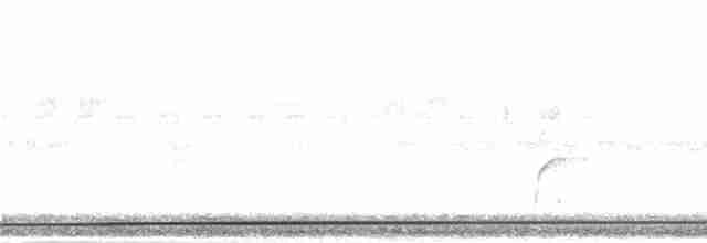 holub tchajwanský - ML281670