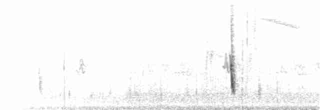 Дрізд-короткодзьоб плямистоволий - ML281673311