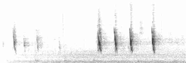 Дрізд-короткодзьоб плямистоволий - ML281674671