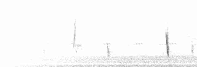 Münzevi Bülbül Ardıcı - ML281677091
