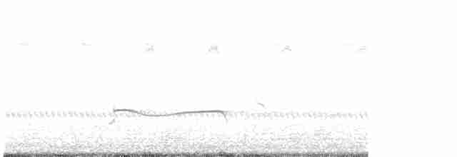Black-bellied Plover - ML281694191