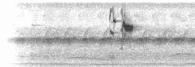 Синиця далекосхідна (підвид nigriloris) - ML281712