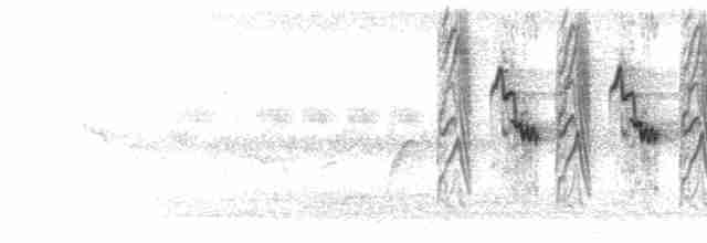 Japon Baştankarası (nigriloris) - ML281715