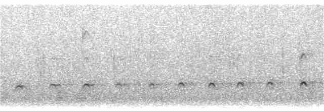 Орел-карлик малий - ML281847391