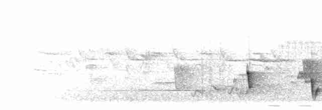 Сахалинский сверчок - ML281850