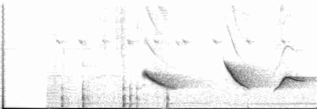 Зернолуск зеленокрилий - ML281868591
