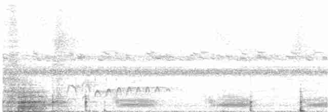Olivgrau-Ameisenvogel - ML281869091