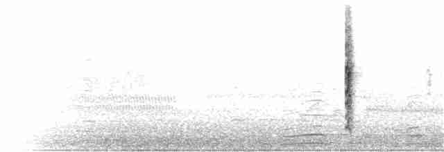 rødvingetrupial (phoeniceus gr.) - ML28189001