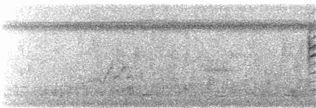 Grauschneidervogel - ML281900761