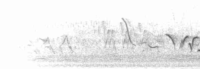 Трав’янка східна - ML281903