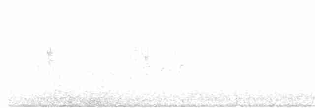 vlhovec červenokřídlý - ML28191151