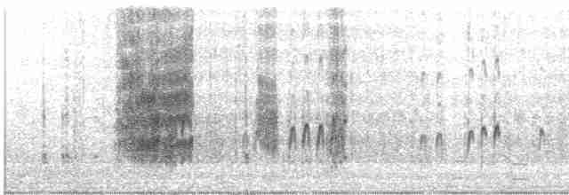 Plectrophane des neiges - ML281919271
