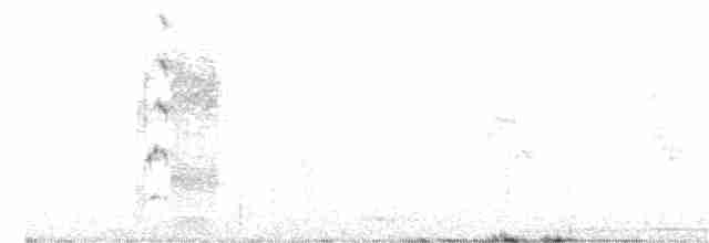 Серый сорокопут - ML281926981