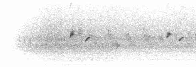 Long-tailed Rosefinch - ML281969