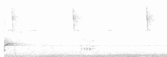 Red-legged Thrush (Antillean) - ML282007131