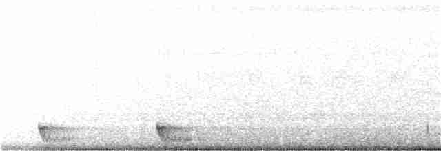 Langschwanz-Nachtschwalbe - ML282040111