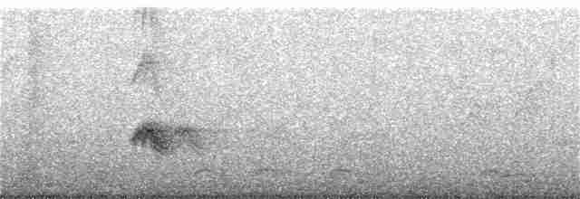 Evening Grosbeak (type 3) - ML282061731