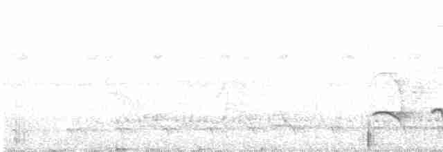 Мурав’янка-прудкокрил рондонійська - ML282066051