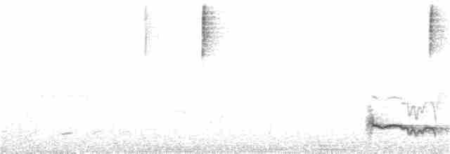 Kaatinga Pufkuşu - ML282067101