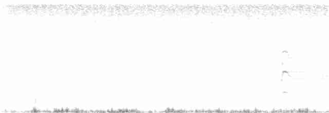 Yer Kukumavı [cunicularia grubu] - ML282084581