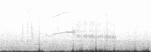 Élanion à queue blanche - ML282166201