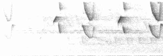 Чешуегорлый колибри-отшельник - ML282182361