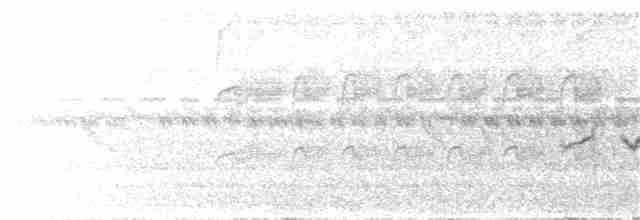 Kestane Karınlı Koca Tohumcul - ML282182611