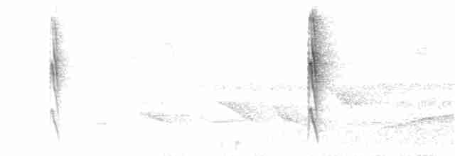 Желтобровый сростнопал - ML282182791
