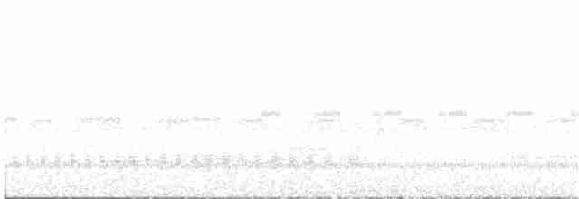 Avustralya Bıldırcınyelvesi - ML282201431