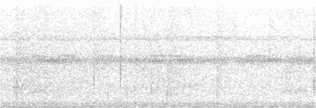 Kara Kulaklı Bityiyen - ML282202401