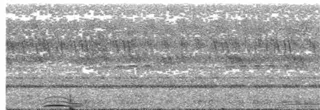 Пугач сірий - ML282217411