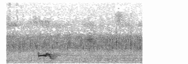 Африканская хохлатая кукушка - ML282219681