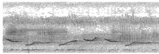 Oriole Warbler - ML282239941