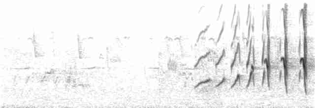 Gray-headed Kingfisher - ML28226081