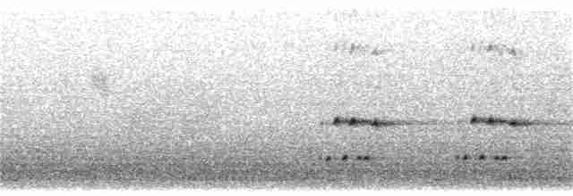 Ястребиная зебрина - ML282315371