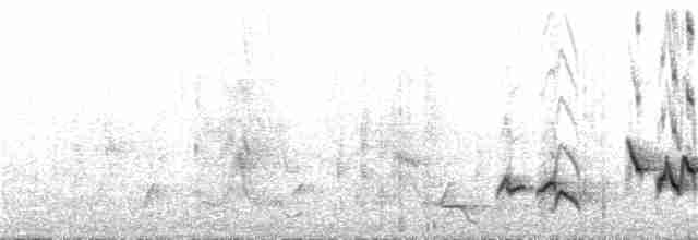 White-throated Robin-Chat - ML282316101