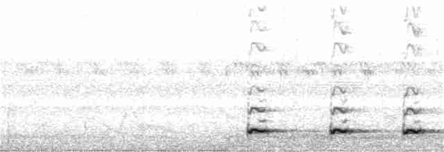 Kolima Serçe Baykuşu - ML28232161