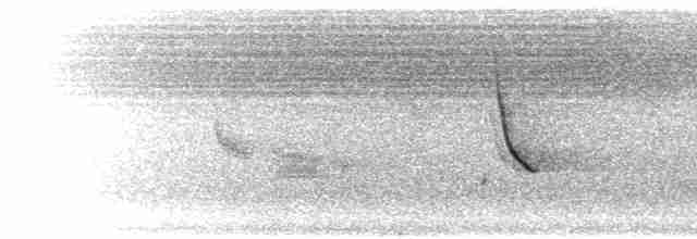 Seylan Bal Sığırcığı - ML282336