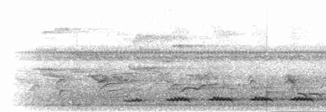 Kestane Sırtlı Serçe Baykuşu - ML282344