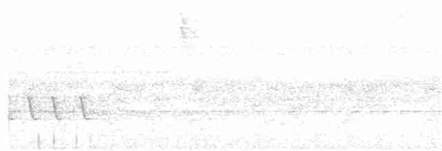 Белокрылый бекард - ML282400021