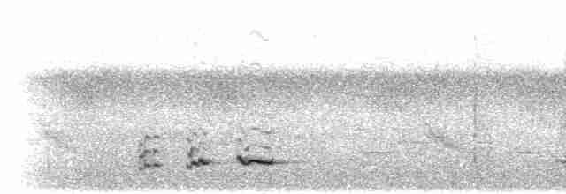 Bulbul Carinegro - ML282406